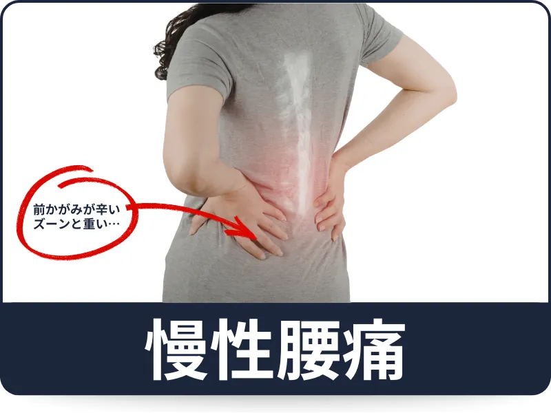 六本木の整体｜腰痛でお悩みの方へ（症状別ページへ）