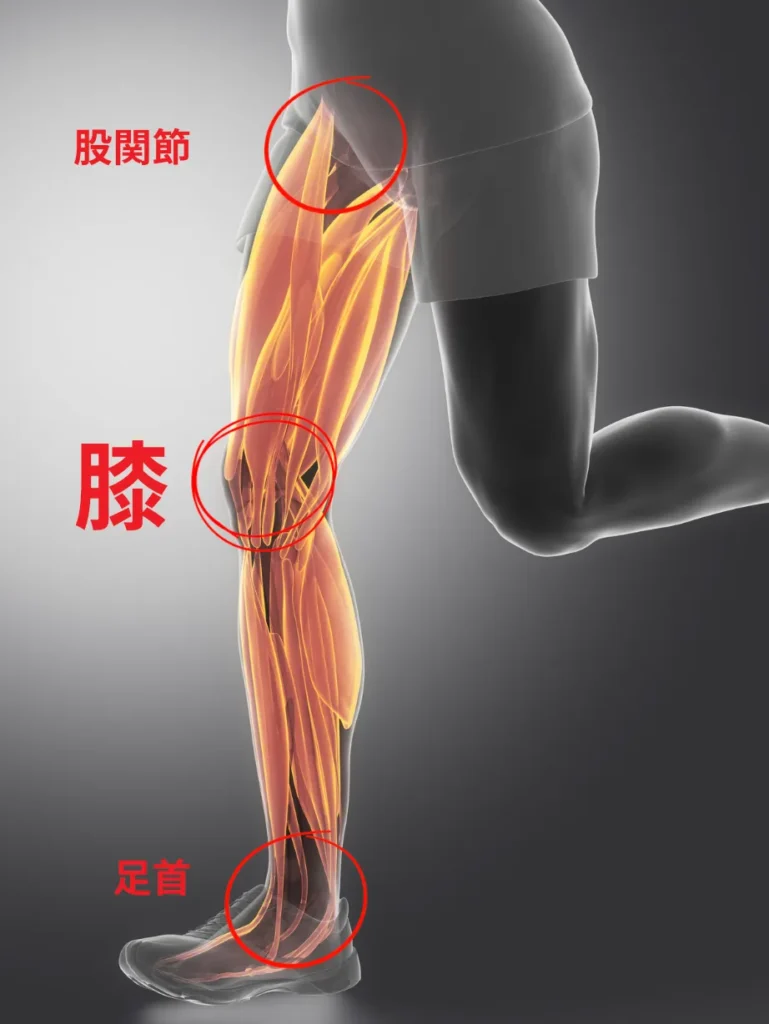 股関節、膝、足首の関係から膝に負担が集中する仕組みの図