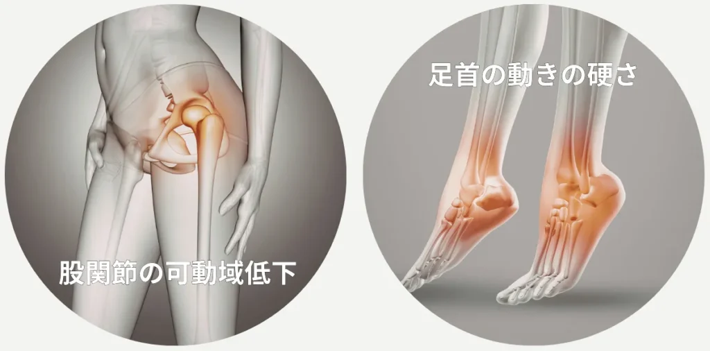 六本木の整体モビリティ整体ソシオ｜膝の痛みに関係する股関節の可動域低下と足首の硬さのイメージ