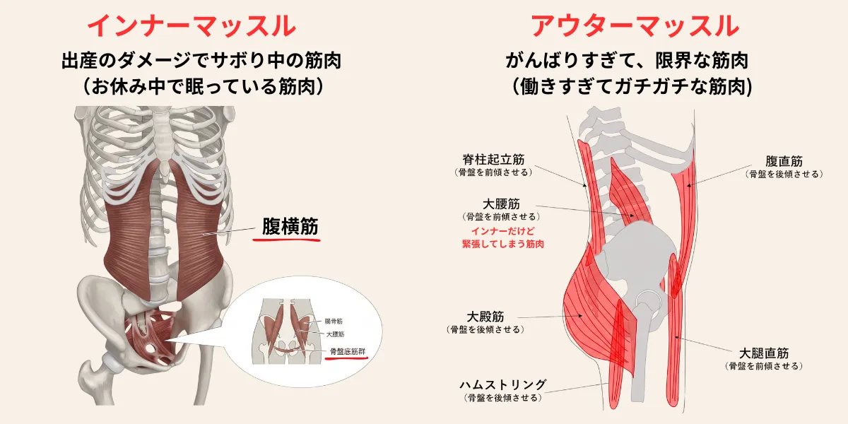 産後のアウターマッスルとインナーマッスルの関係を示した図解