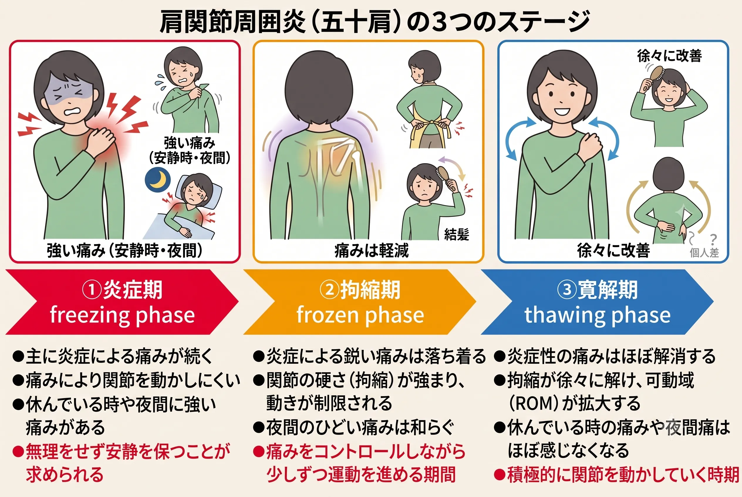 肩関節周囲炎の炎症期・拘縮期・回復期の経過図