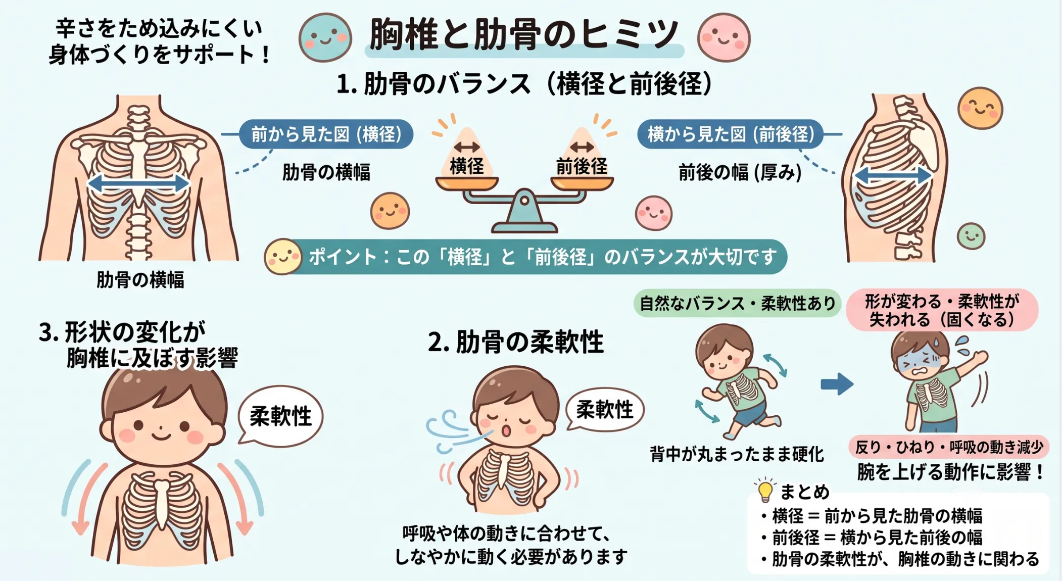 胸椎と肋骨の柔軟性が肩甲骨や腕の動きに与える影響を示した図解